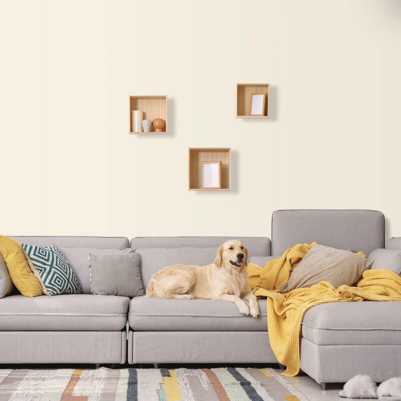 Wandfarbe Weiß-Gelb Blassgelb Mojave 1A Wallcover Colors S 0804-Y30R