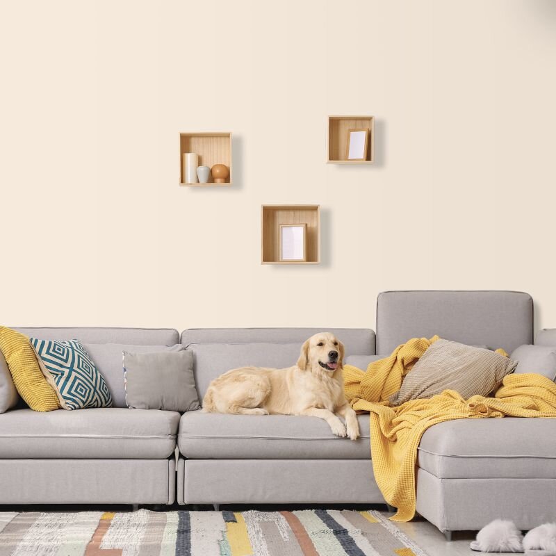 Wandfarbe Vanille Creme Bergamo 1A Wallcover Colors S 0804-Y50R