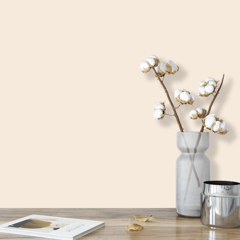 Wandfarbe Vanille Creme Bergamo 1A Wallcover Colors S 0804-Y50R