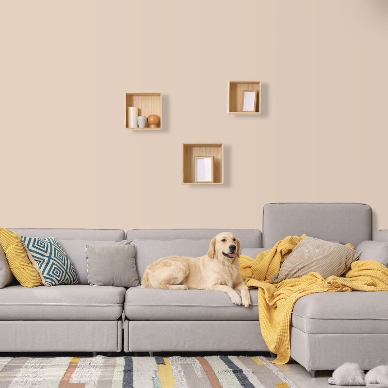 Wandfarbe Elfenbein Creme Siena 5A Wallcover Colors S 0907-Y70R