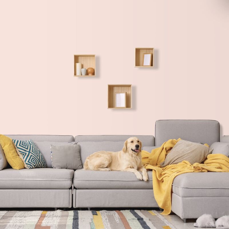 Wandfarbe Rosa Altrosa Firenze 3A Wallcover Colors S 0907-Y90R