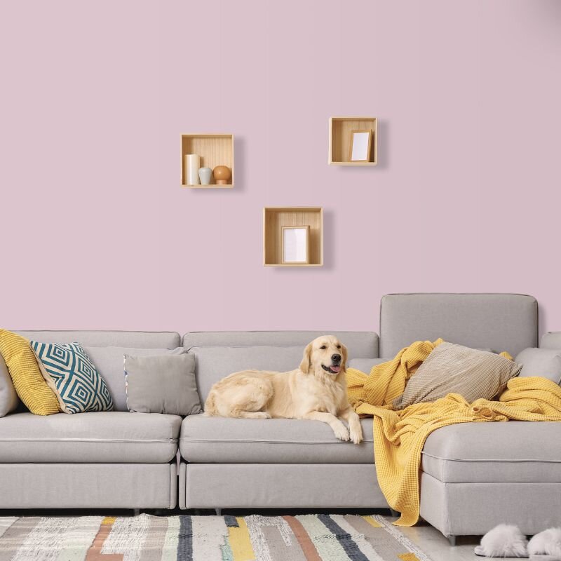 Wandfarbe Rosé Rosa Piccadilly 5A Wallcover Colors S 1015-R20B