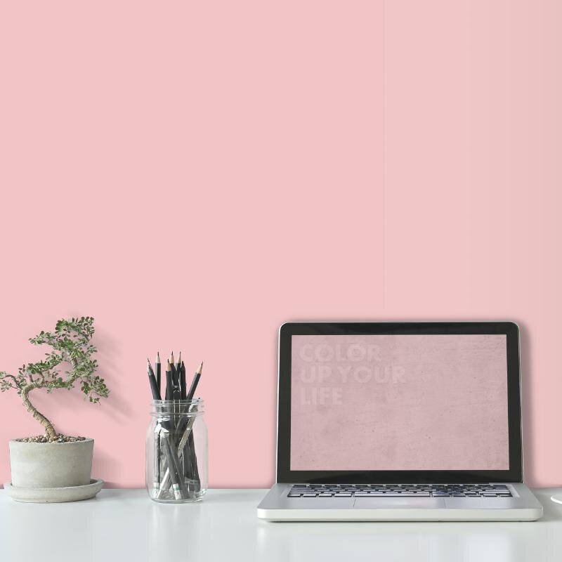 Wandfarbe Rosa Firenze 2B Wallcover Colors S 1015-Y90R