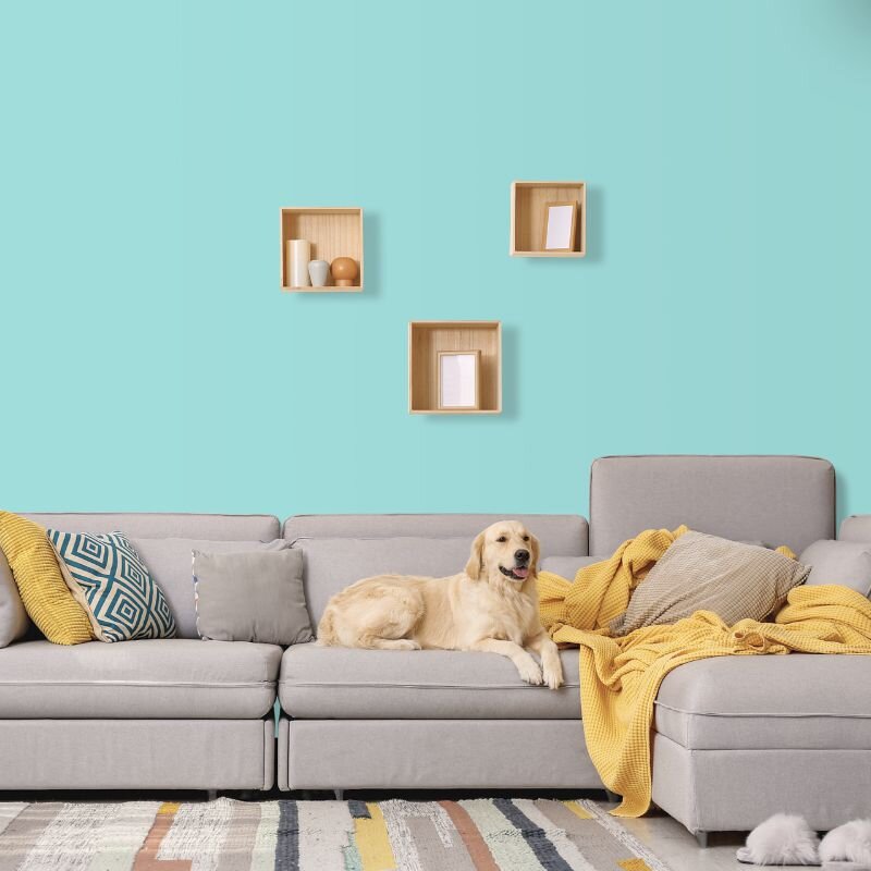 Wandfarbe Türkis Margarita 2B Wallcover Colors S 1020-B50G