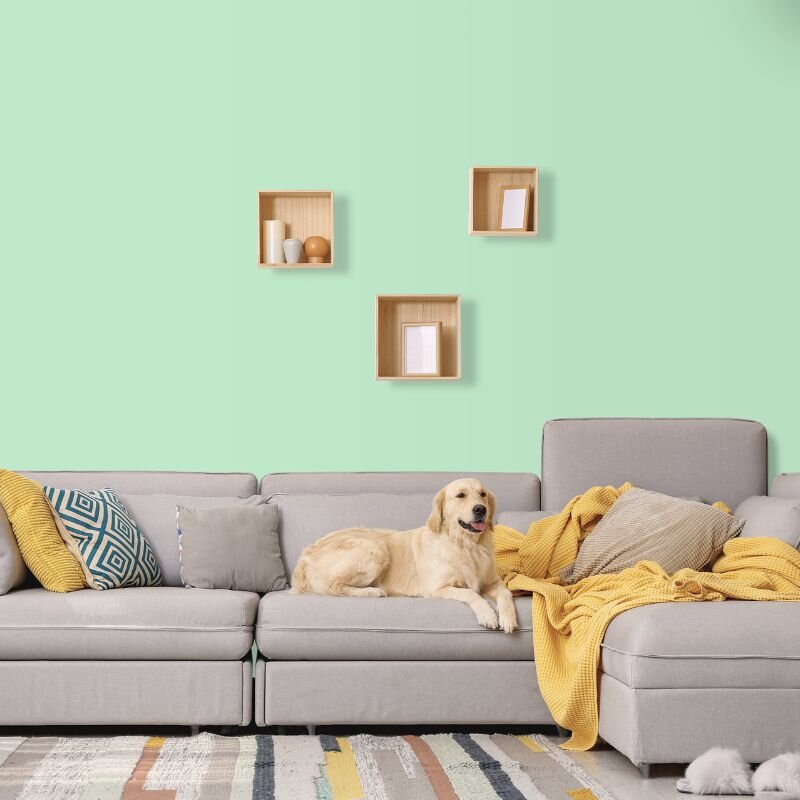 Wandfarbe Aquamarin-Grün Pastell Connemara 2B Wallcover Colors S 1020-G10Y