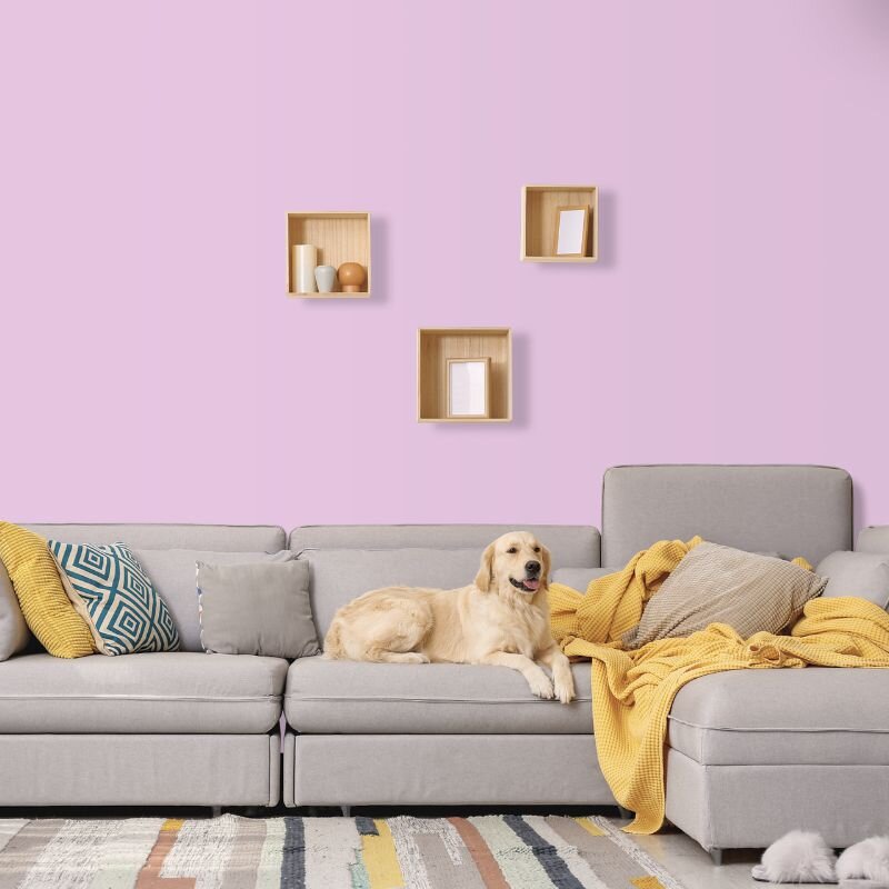 Wandfarbe Hellviolett Rosa Carnaby 1B Wallcover Colors S 1020-R40B