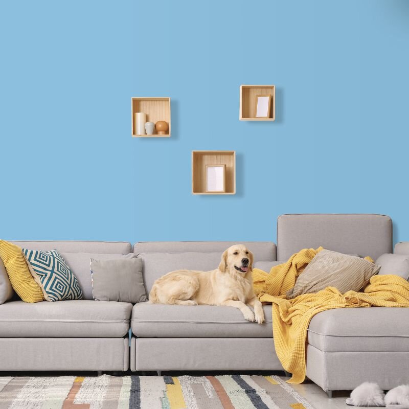 Wandfarbe Hellblau Pastellblau Karibik 1C Wallcover Colors S 1030-B10G