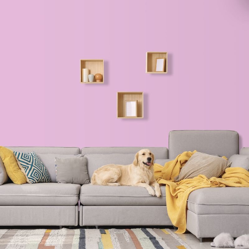 Wandfarbe Hellviolett Rosa Carnaby 2B Wallcover Colors S 1030-R40B