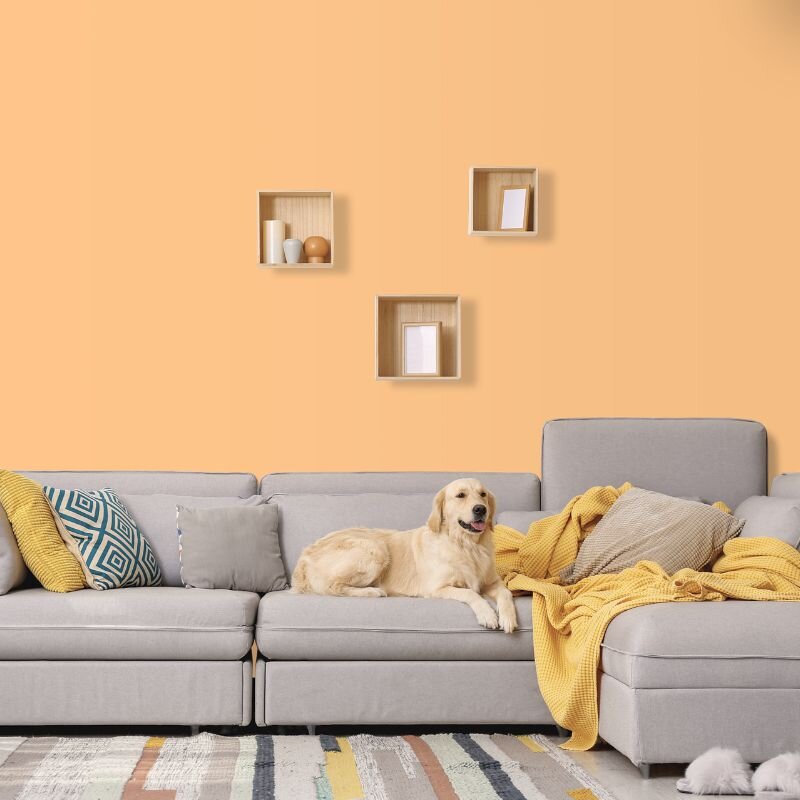 Wandfarbe Apricot Orange Ravenna 1C Wallcover Colors S 1030-Y30R