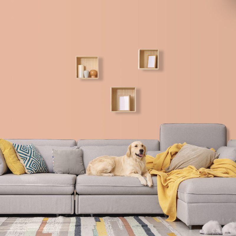 Wandfarbe Pfirsich Rosa-Braun Siena 4B Wallcover Colors S 1030-Y80R