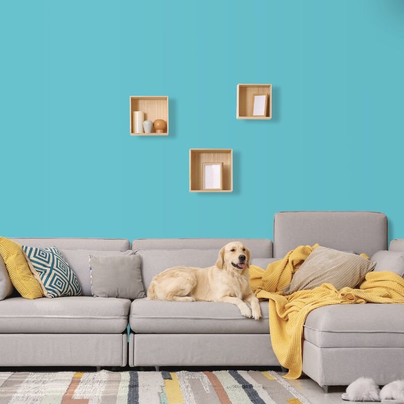 Wandfarbe Türkis-Blau Aqua Trinidad 1D Wallcover Colors S 1040-B50G