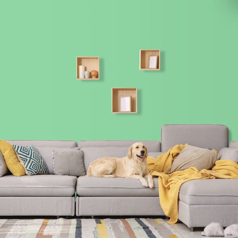 Wandfarbe Hellgrün Blassgrün Connemara 1D Wallcover Colors S 1040-G10Y