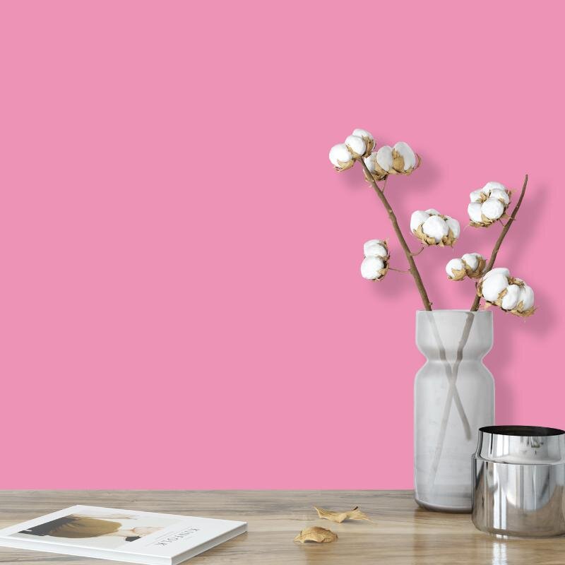 Wandfarbe Rosa Pink Portobello 1C Wallcover Colors S 1040-R20B