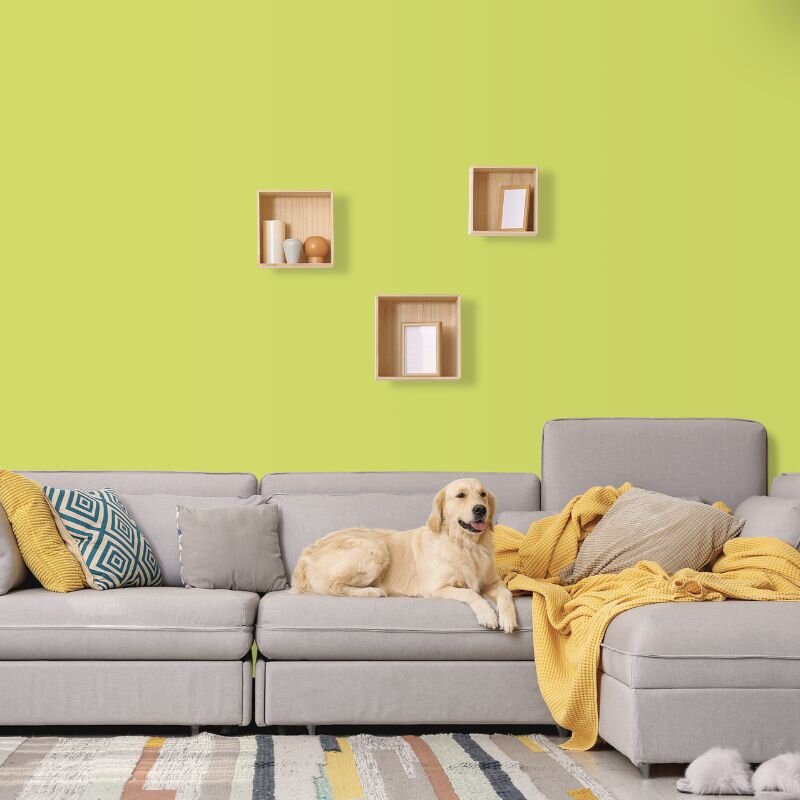 Wandfarbe Hellgrün Gelbgrün Killarney 2D Wallcover Colors S 1050-G70Y