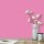 Wandfarbe Pink Pretty Pink 2D Wallcover Colors S 1050-R30B