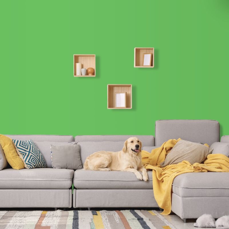 Wandfarbe Grün Dublin 2D Wallcover Colors S 1060-G20Y