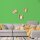 Wandfarbe Grün Dublin 2D Wallcover Colors S 1060-G20Y