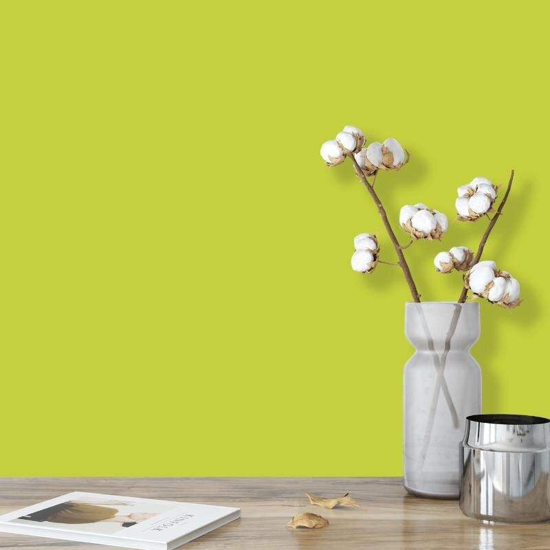 Wandfarbe Apfelgrün Grüngelb Saguaro 1F Wallcover Colors S 1060-G60Y