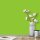 Wandfarbe Hellgrün Frühlingsgrün Donegal 1F Wallcover Colors S 1070-G40Y