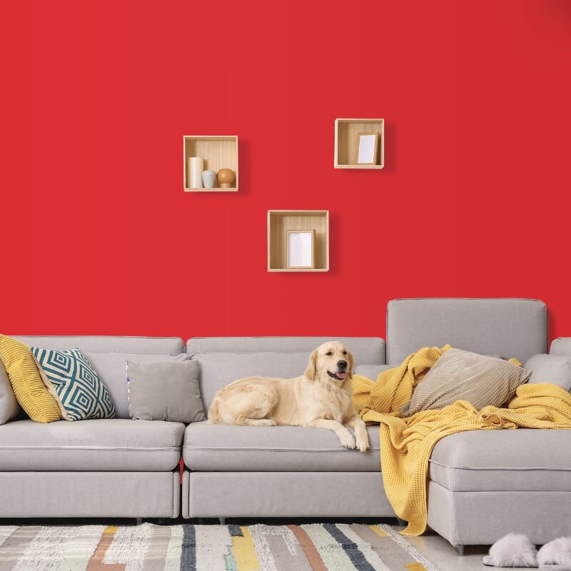 Wandfarbe Rot Firenze 1F Wallcover Colors S 1080-Y90R