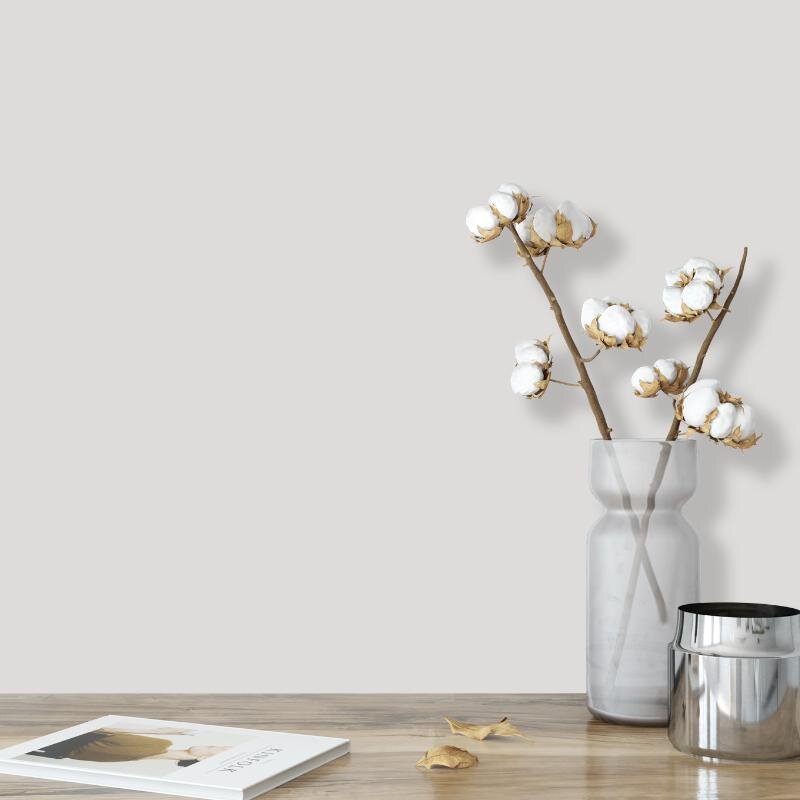 Wandfarbe Hellgrau Lichtgrau Moon 1B Wallcover Colors S 1500-N