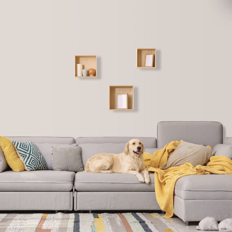 Wandfarbe Hellgrau Beige-Grau Moon 2A Wallcover Colors S 1502-Y20R