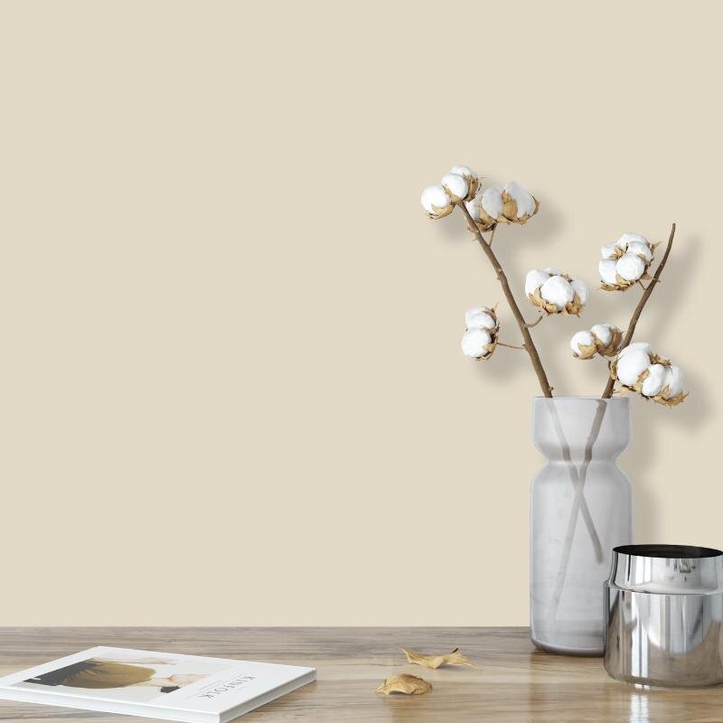Wandfarbe Sand Creme Beige Light 6B Wallcover Colors S 1505-Y