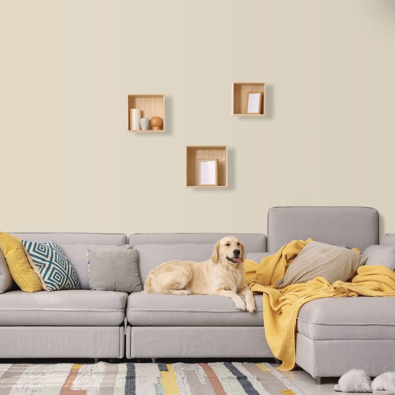 Wandfarbe Sand Creme Beige Light 6B Wallcover Colors S 1505-Y