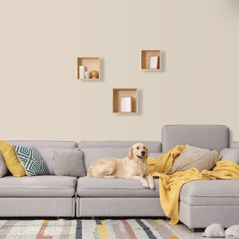 Wandfarbe Creme Braun Sand Shadow 6A Wallcover Colors S 1505-Y30R