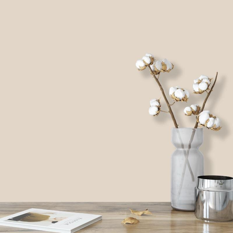 Wandfarbe Creme Braun Sand Shadow 6A Wallcover Colors S 1505-Y30R