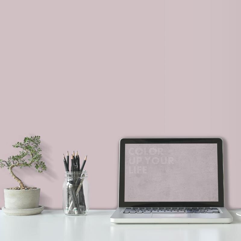 Wandfarbe Rosa Napoli 5A Wallcover Colors S 2005-R