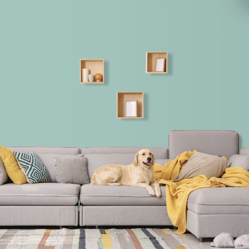 Wandfarbe Pastell-Türkis Mint-Blau Bahamas 5B Wallcover Colors S 2020-B60G