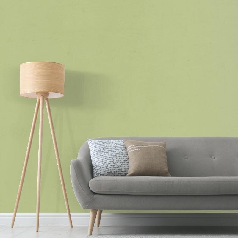 Wandfarbe Hellgrün Pastellgrün Kilkenny 4D Wallcover Colors S 2020-G60Y