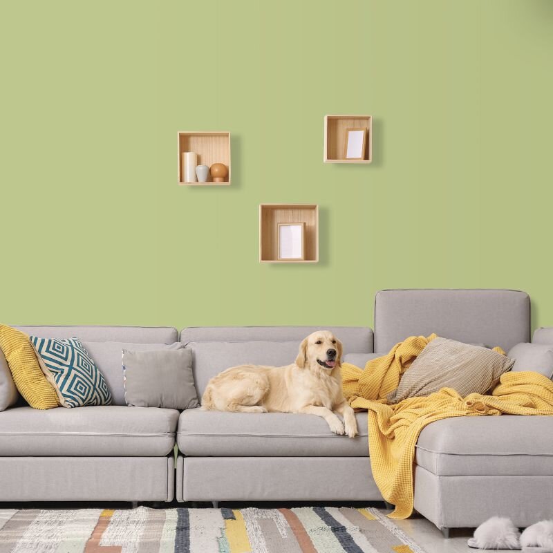 Wandfarbe Hellgrün Pastellgrün Kilkenny 4D Wallcover Colors S 2020-G60Y