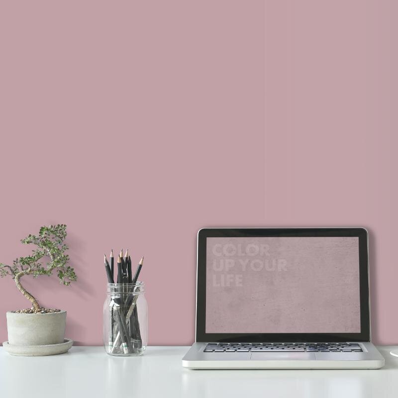 Wandfarbe Altrosa Rosé Piccadilly 5B Wallcover Colors S 2020-R10B
