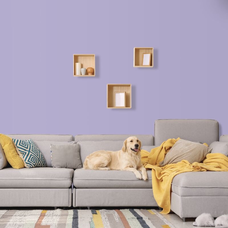 Wandfarbe Flieder Lila Pastell Puerto 3B Wallcover Colors S 2020-R60B