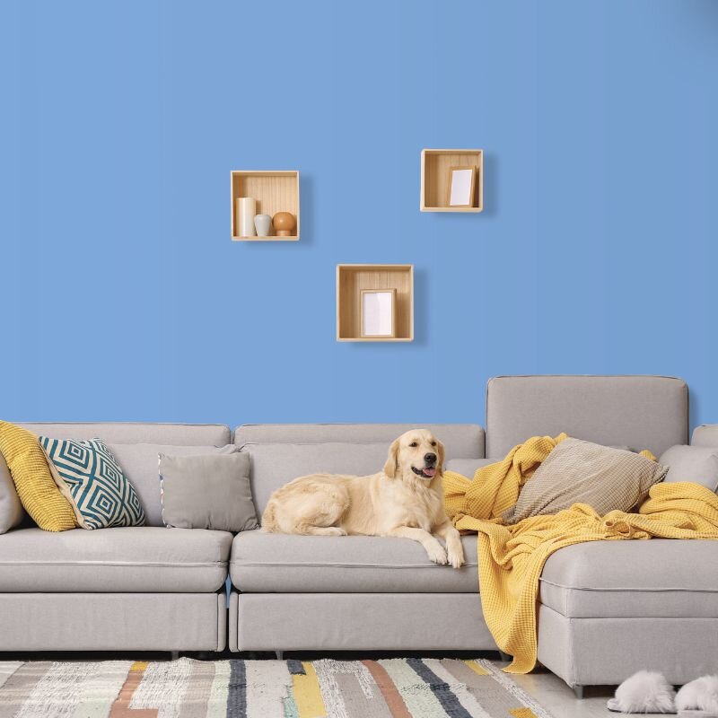 Wandfarbe Blau Meeresblau Marine 2C Wallcover Colors S 2030-B