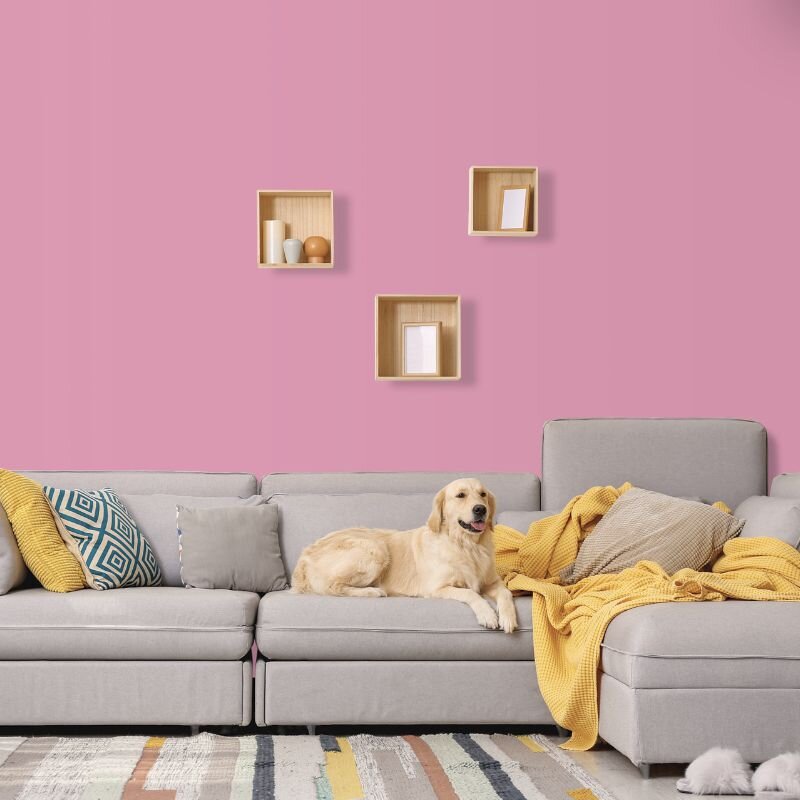 Wandfarbe Pink Pretty Pink 2C Wallcover Colors S 2030-R30B