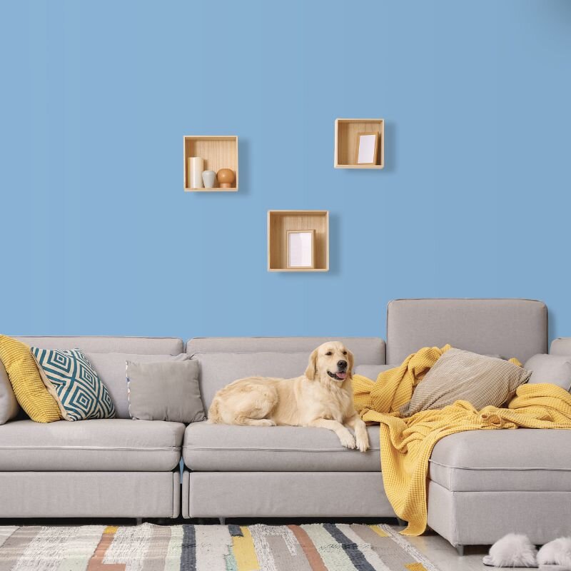 Wandfarbe Hellblau Himmelblau Pazifik 2C Wallcover Colors S 2030-R80B