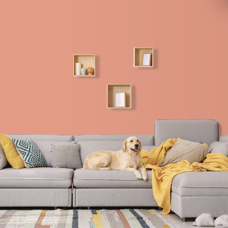 Wandfarbe Pfirsich Rosa Palermo 3C Wallcover Colors S 2030-Y70R