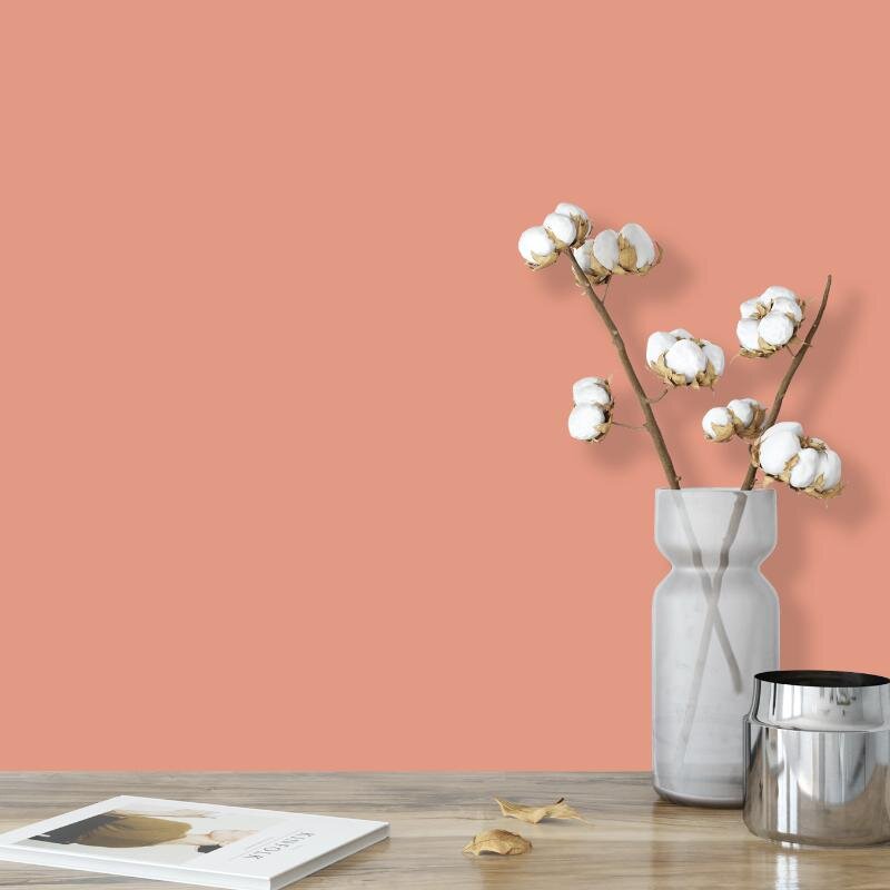 Wandfarbe Pfirsich Rosa Palermo 3C Wallcover Colors S 2030-Y70R