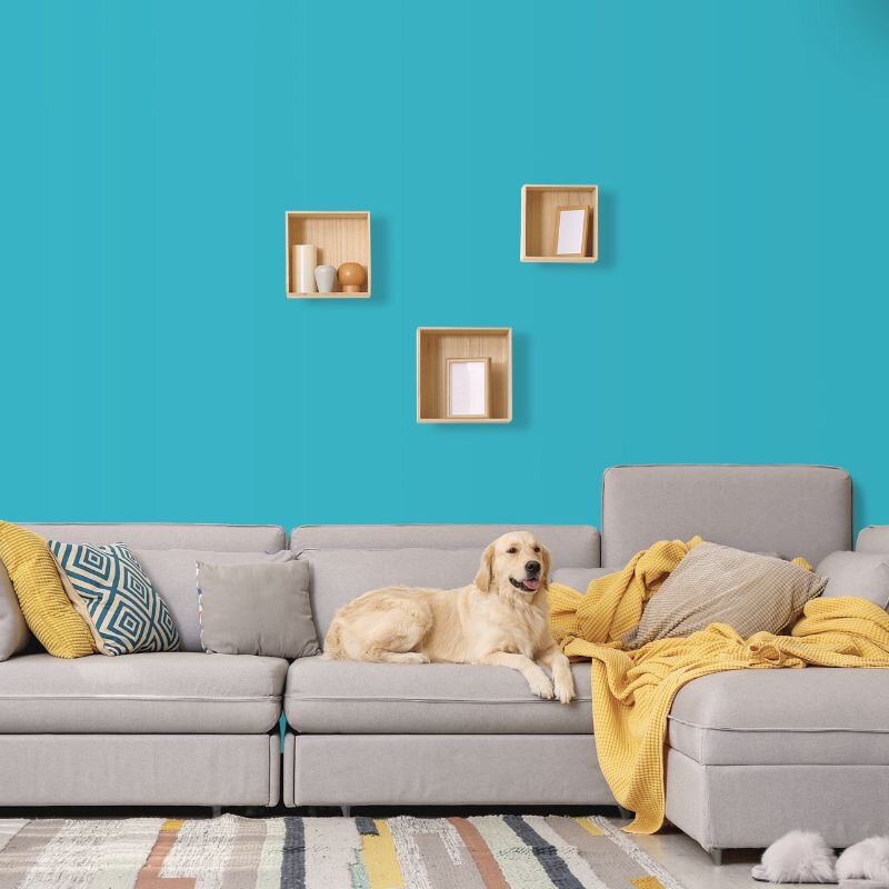 Wandfarbe Türkis-Blau Aqua Trinidad 1E Wallcover Colors S 2040-B20G