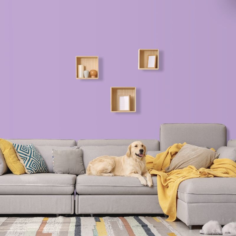 Wandfarbe Flieder Lila Violett Benguela 1C Wallcover Colors S-2040-R40b