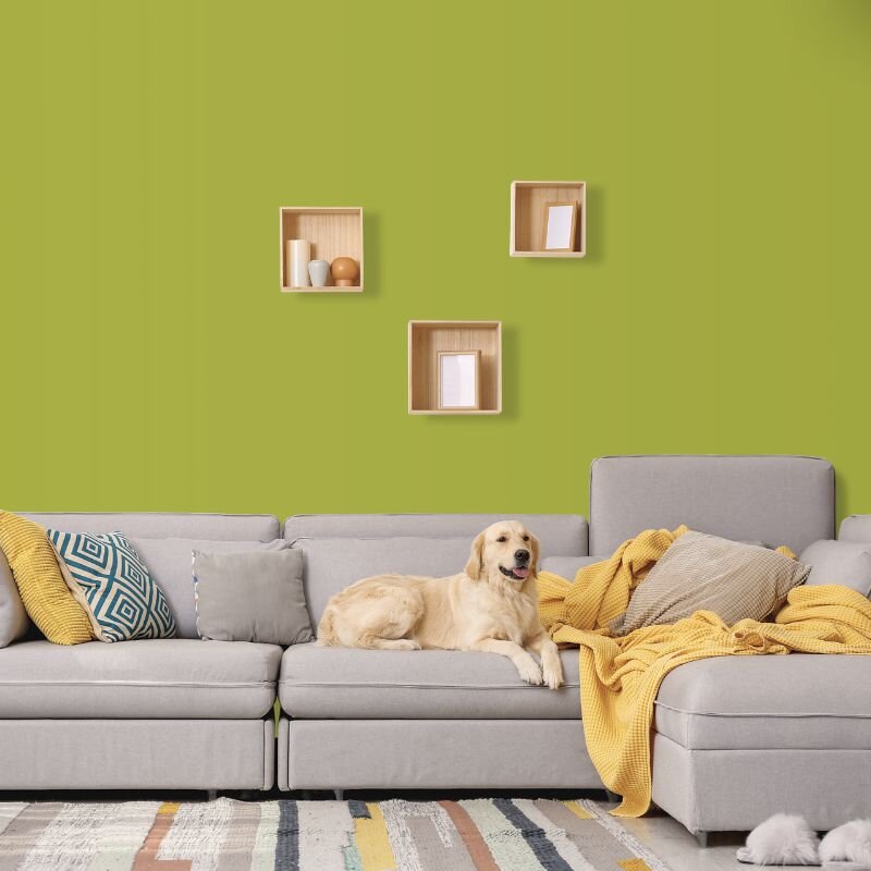 Wandfarbe Kiwi Apfel Limette Grün Saguaro 2F Wallcover Colors S 2050-G60Y