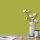 Wandfarbe Kiwi Apfel Limette Grün Saguaro 2F Wallcover Colors S 2050-G60Y