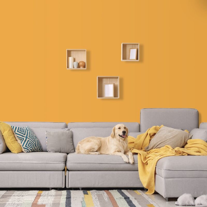 Wandfarbe Dunkelorange Kalahari 3E Wallcover Colors S 2050-Y20R