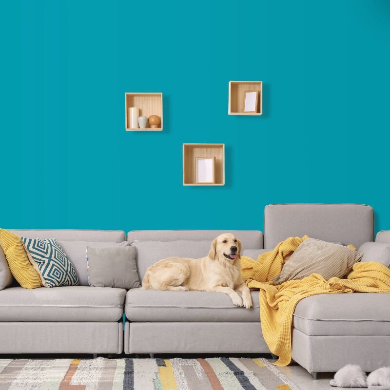 Wandfarbe Türkis-Blau Aqua Trinidad 1F Wallcover Colors S 2055-B10G