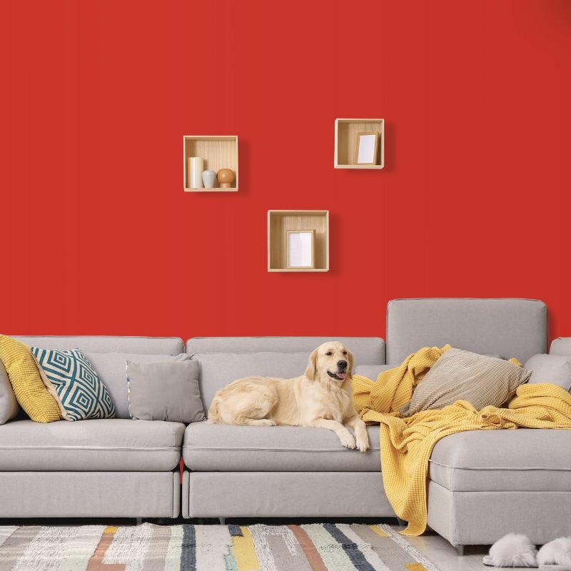 Wandfarbe Rot Palermo 2F Wallcover Colors S 2070-Y80R