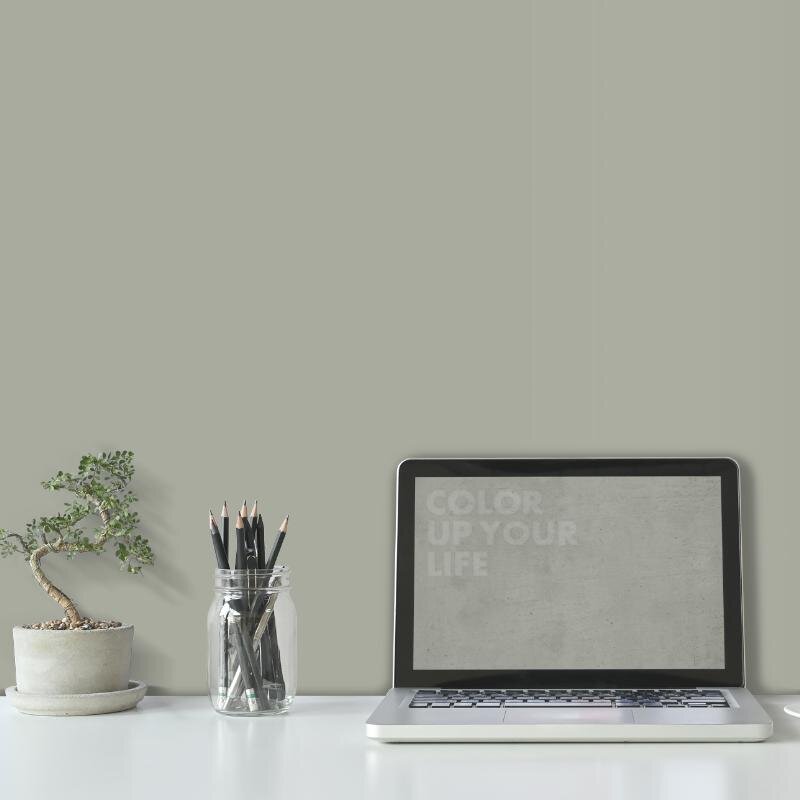 Wandfarbe Graugrün Grau Shadow 2C Wallcover Colors S 3005-G50Y