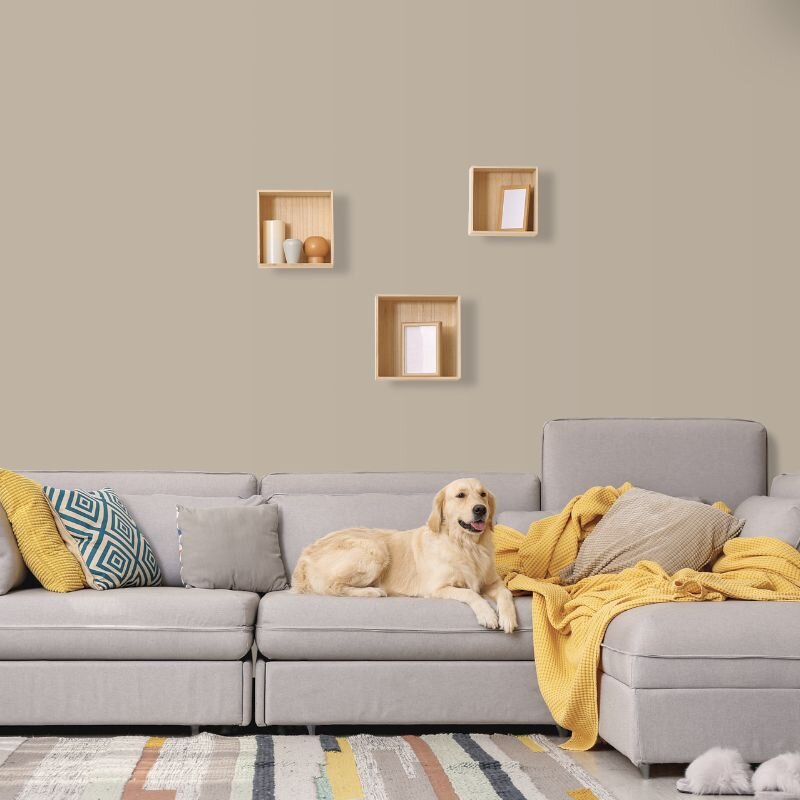 Wandfarbe Greige Sand-Grau Shadow 6B Wallcover Colors S 3005-Y20R